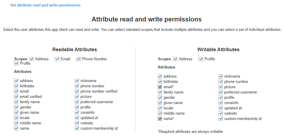AWS Cognito User Pool App Client attribute read and write permissions