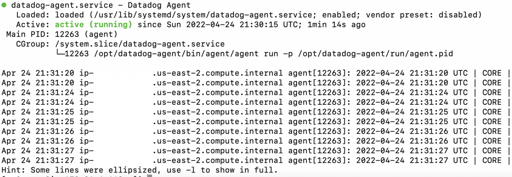 Datadog agentt process running